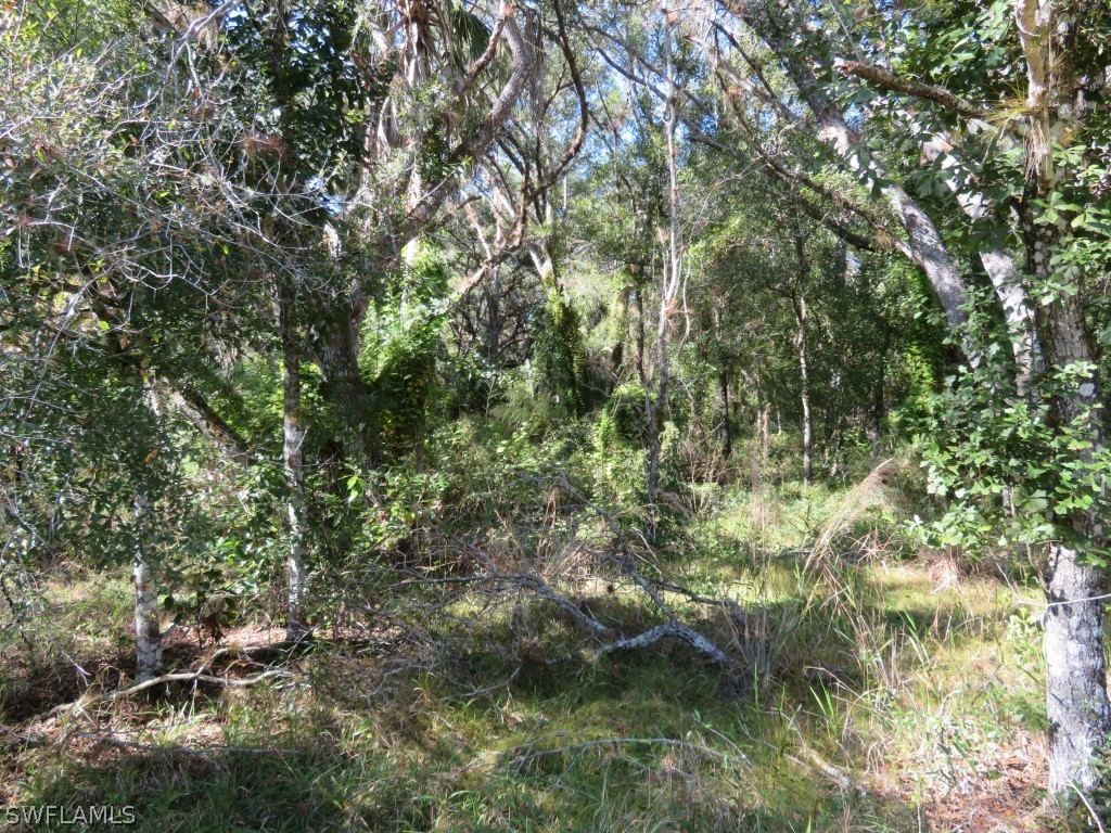 1121 Catamount Road LaBelle, FL 33935 - Photo 18 of 19 Gallery Image 18