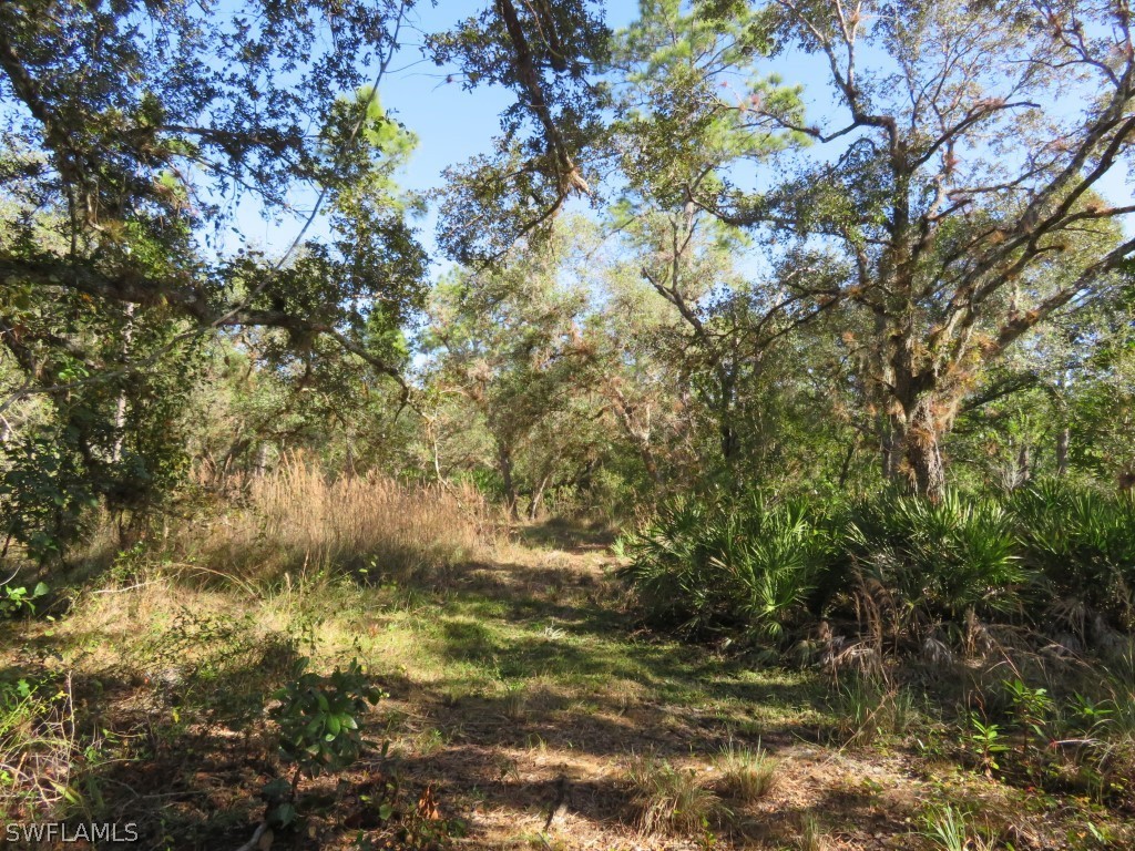 1121 Catamount Road LaBelle, FL 33935 - Photo 4 of 19 Gallery Image 4