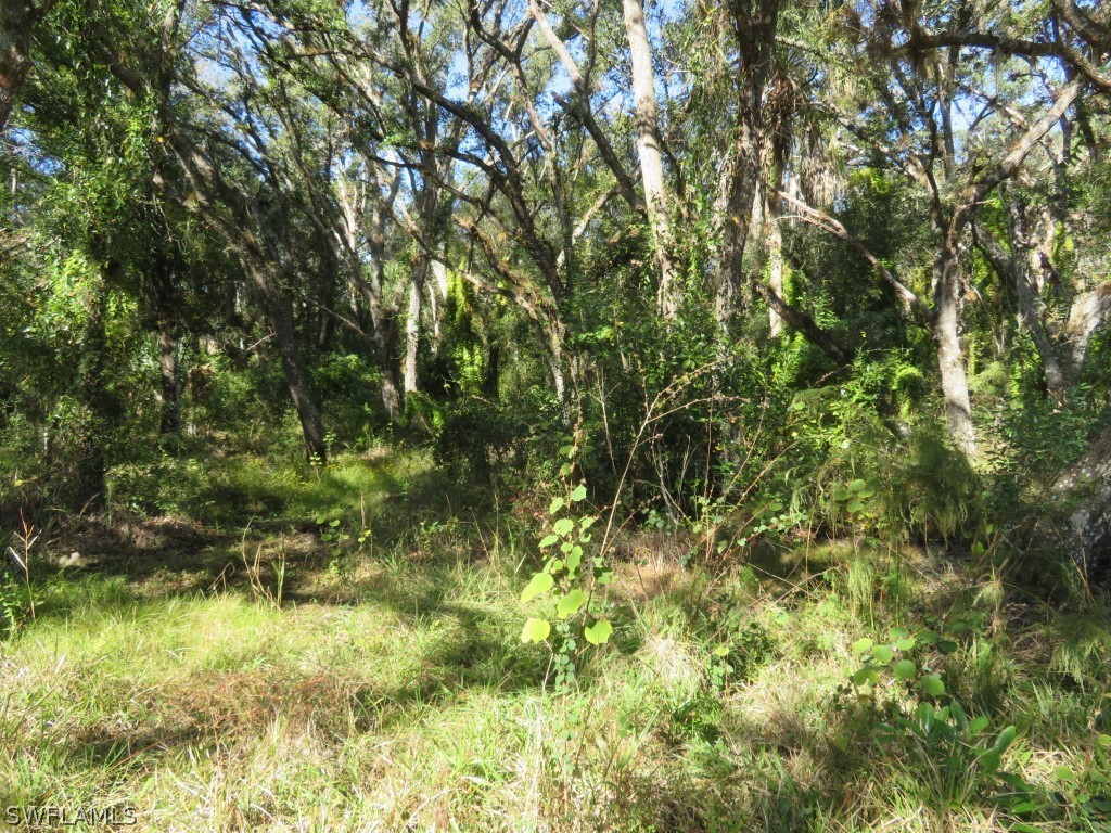 1121 Catamount Road LaBelle, FL 33935 - Photo 6 of 19 Gallery Image 6