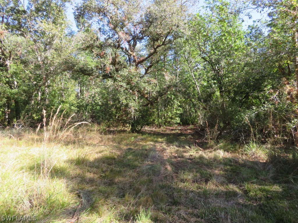 1121 Catamount Road LaBelle, FL 33935 - Photo 7 of 19 Gallery Image 7