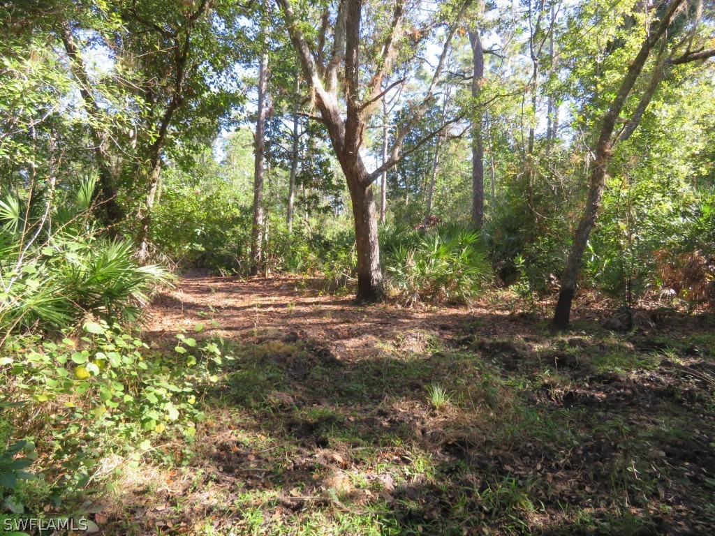 1121 Catamount Road LaBelle, FL 33935 - Photo 8 of 19 Gallery Image 8