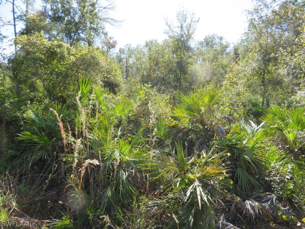 1121 Catamount Road LaBelle, FL 33935 - Photo 10 of 19 Gallery Image 10