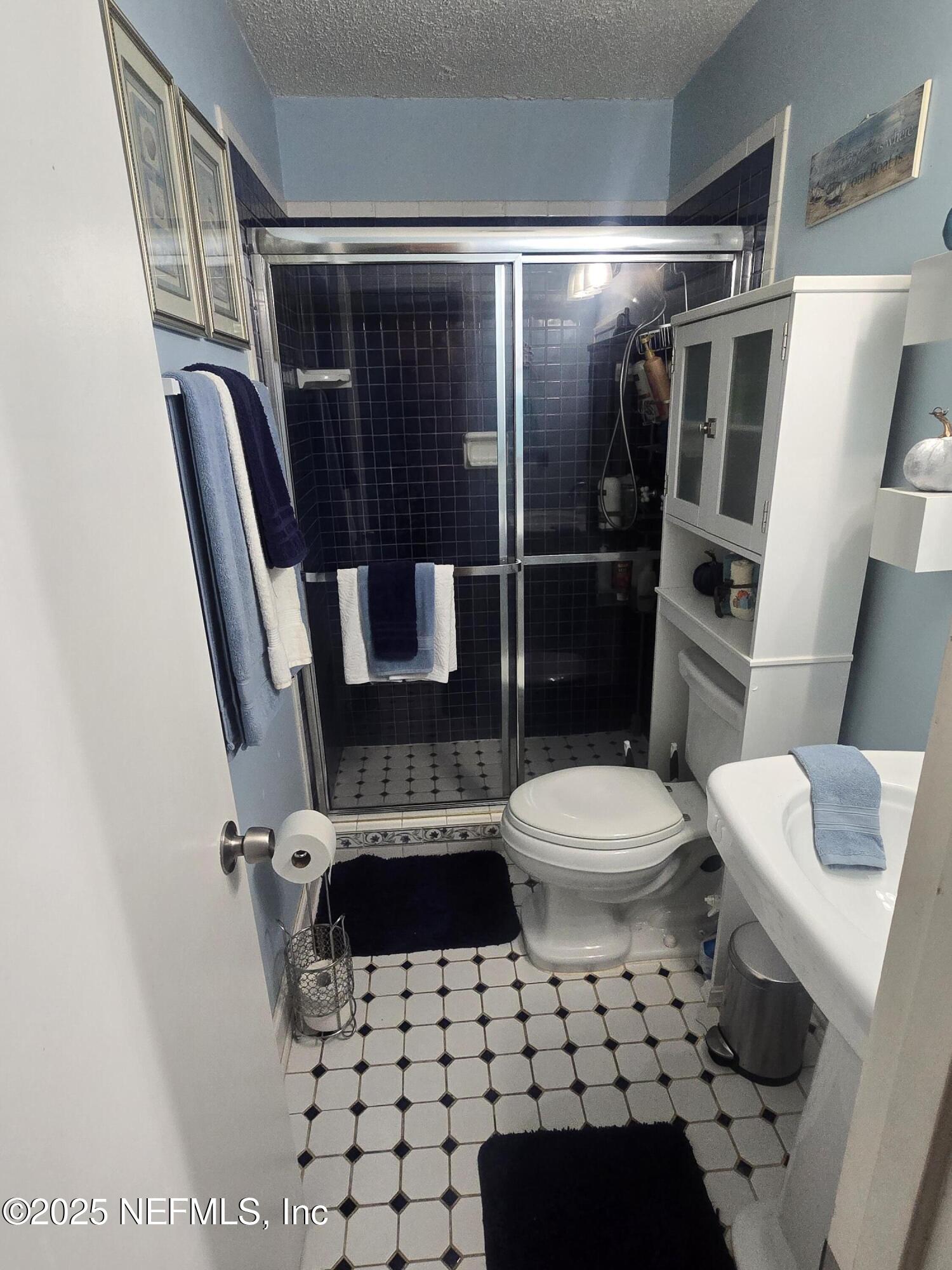 1259 The Grove Road Orange Park, FL 32073 - Photo 10 of 17 a bathroom with a sink a toilet and a shower