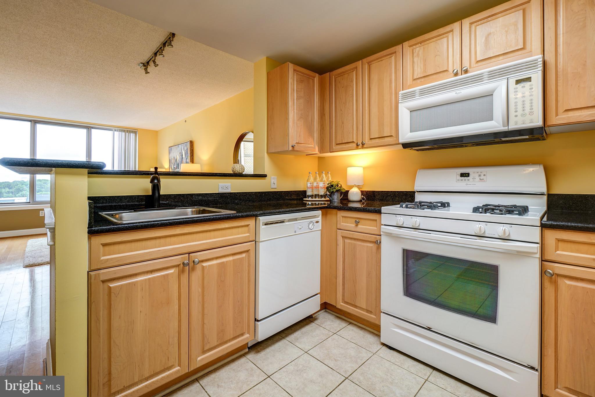 2726 Gallows Road, Unit 1302 Vienna, VA 22180 - Photo 17 of 55