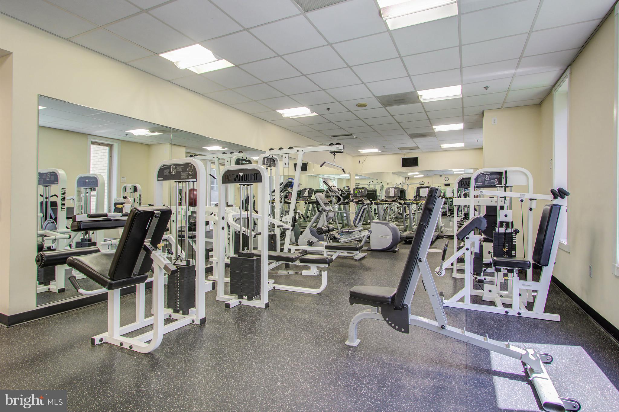 2726 Gallows Road, Unit 1302 Vienna, VA 22180 - Photo 36 of 55 Fitness Center