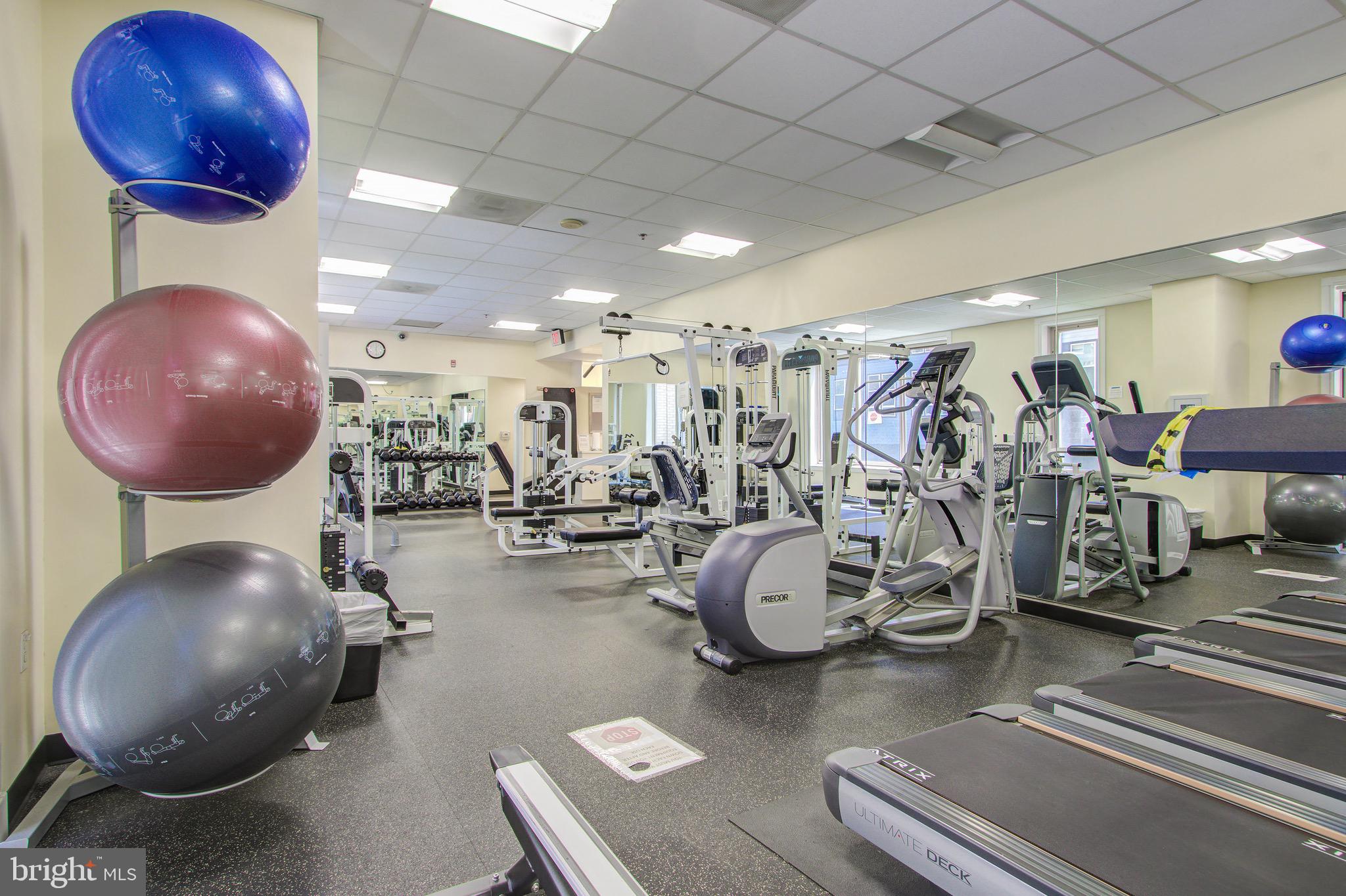 2726 Gallows Road, Unit 1302 Vienna, VA 22180 - Photo 38 of 55 Fitness Center