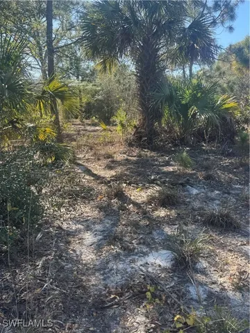 $55,000 | 855 South Cabbage Palm Street, Clewiston, FL 33440