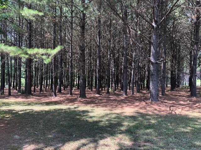 980 Nichols Road Nauvoo, AL 35578 - Photo 26 of 32 Gallery Image 26