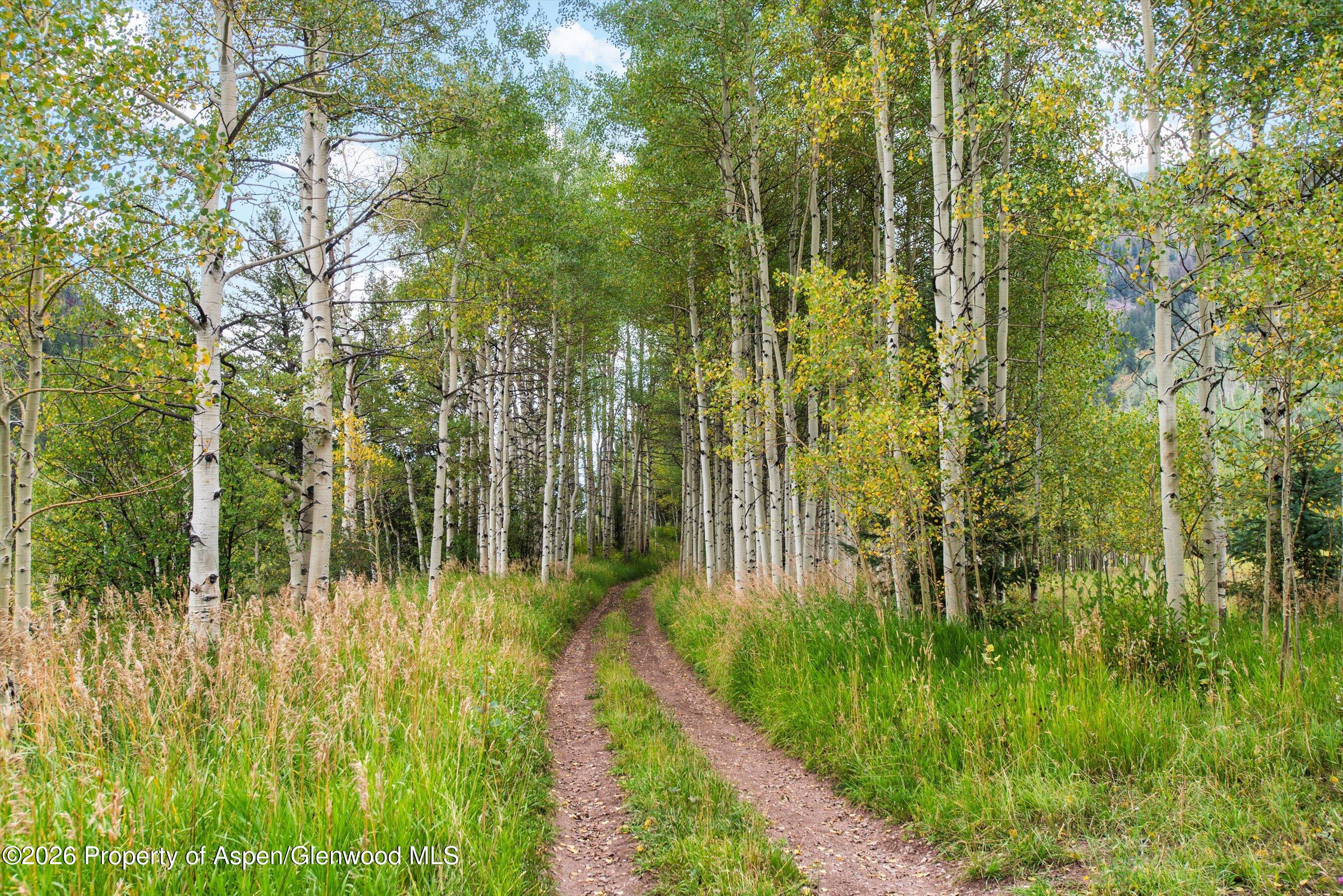 5387 Castle Creek Road Aspen, CO 81612 - Photo 23 of 25 a view of a garden