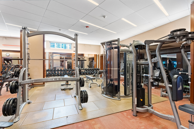 400 East Randolph Street, Unit 930 Chicago, IL 60601 - Photo 22 of 34 a view of a room with gym equipment