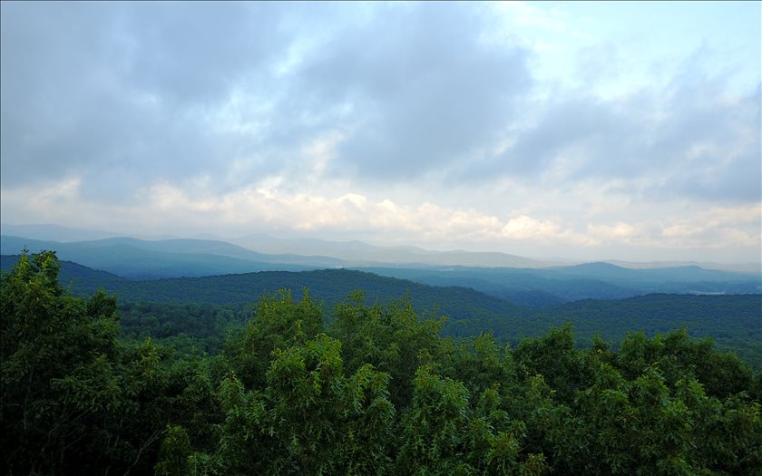 9.56 North Piney Spur Road Ellijay, GA 30536 - Photo 1 of 1 Main View