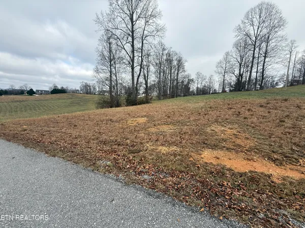 $28,000 | Lot #28 Oak Point Drive, Jonesville, VA 24263