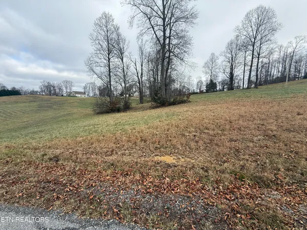 $28,000 | Lot #28 Oak Point Drive, Jonesville, VA 24263