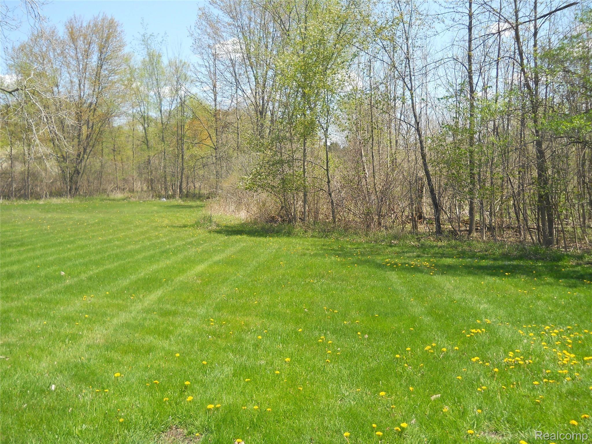 5929 Layton Road Fowlerville, MI 48836 - Photo 22 of 24 looking east