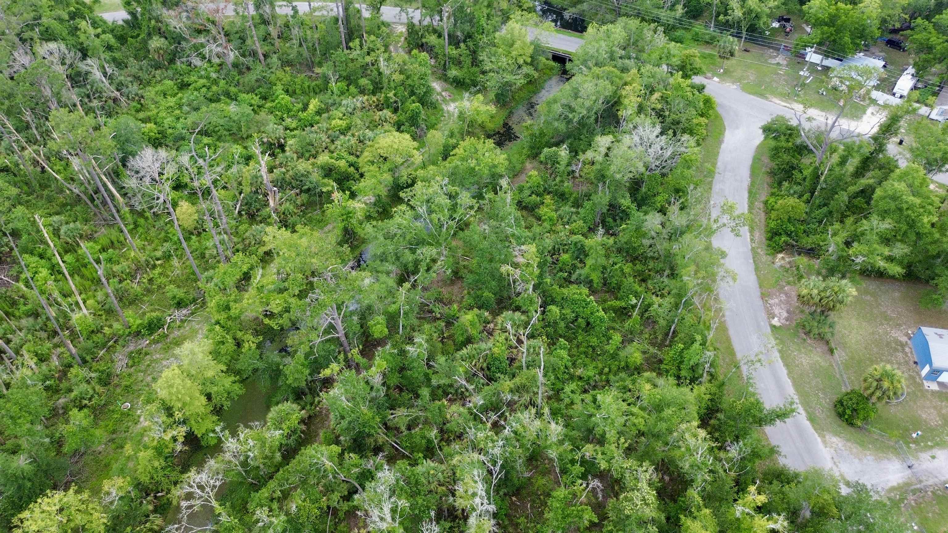 0 Cherry Street Perry, FL 32347 - Photo 6 of 8