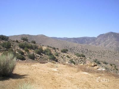 7730003 South Lobo Road Weldon, CA 93283 - Photo 6 of 8