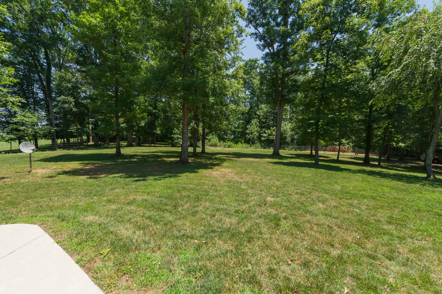 848 Fairview Road Tellico Plains, TN 37385 - Photo 30 of 40 Gallery Image 30