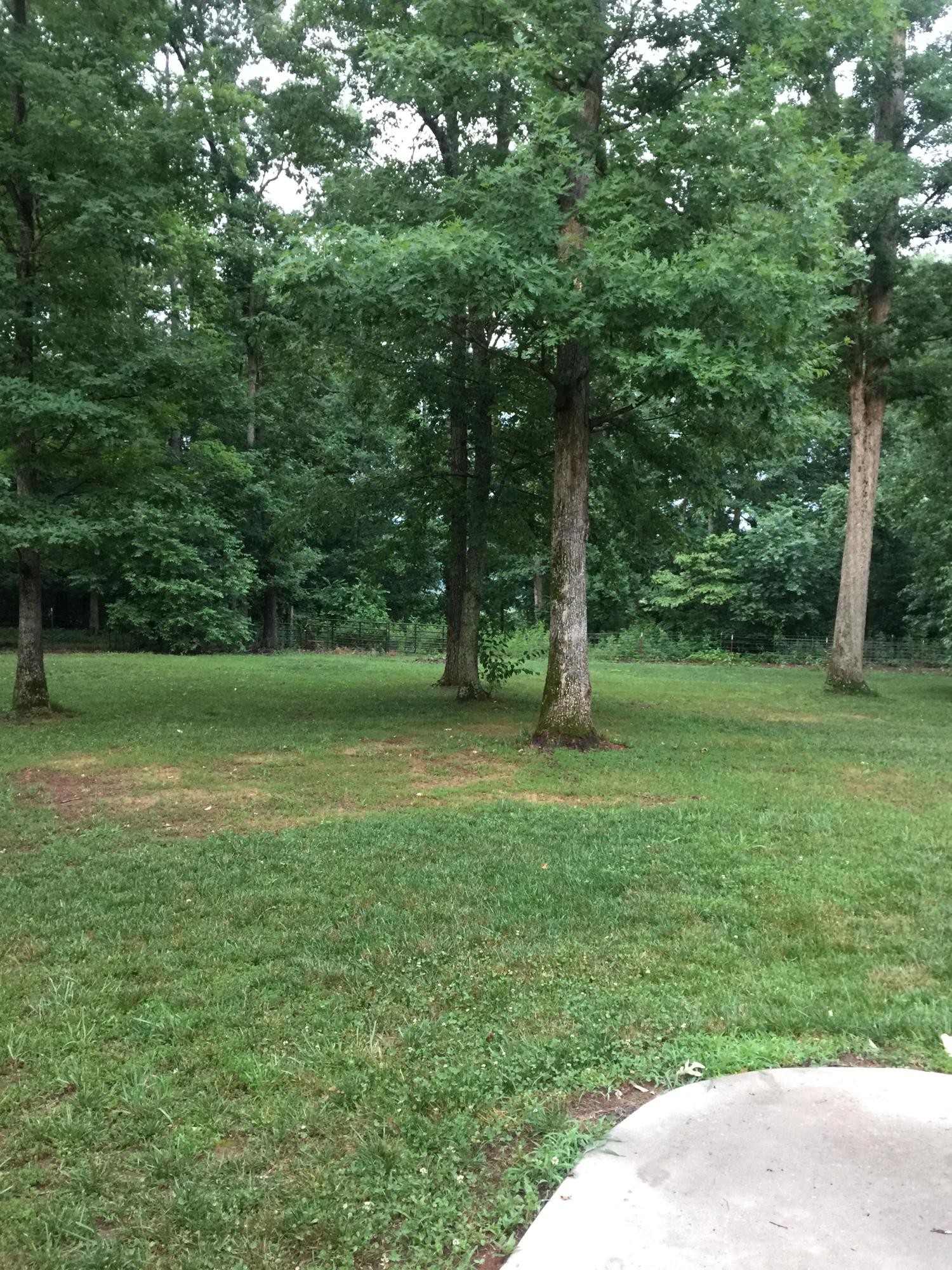 848 Fairview Road Tellico Plains, TN 37385 - Photo 33 of 40 Gallery Image 33