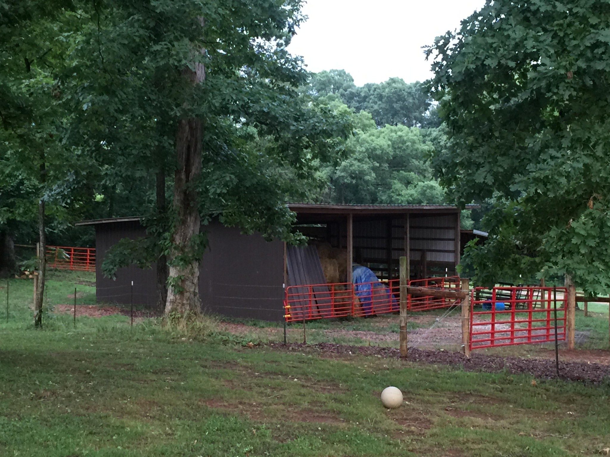 848 Fairview Road Tellico Plains, TN 37385 - Photo 36 of 40 Gallery Image 36