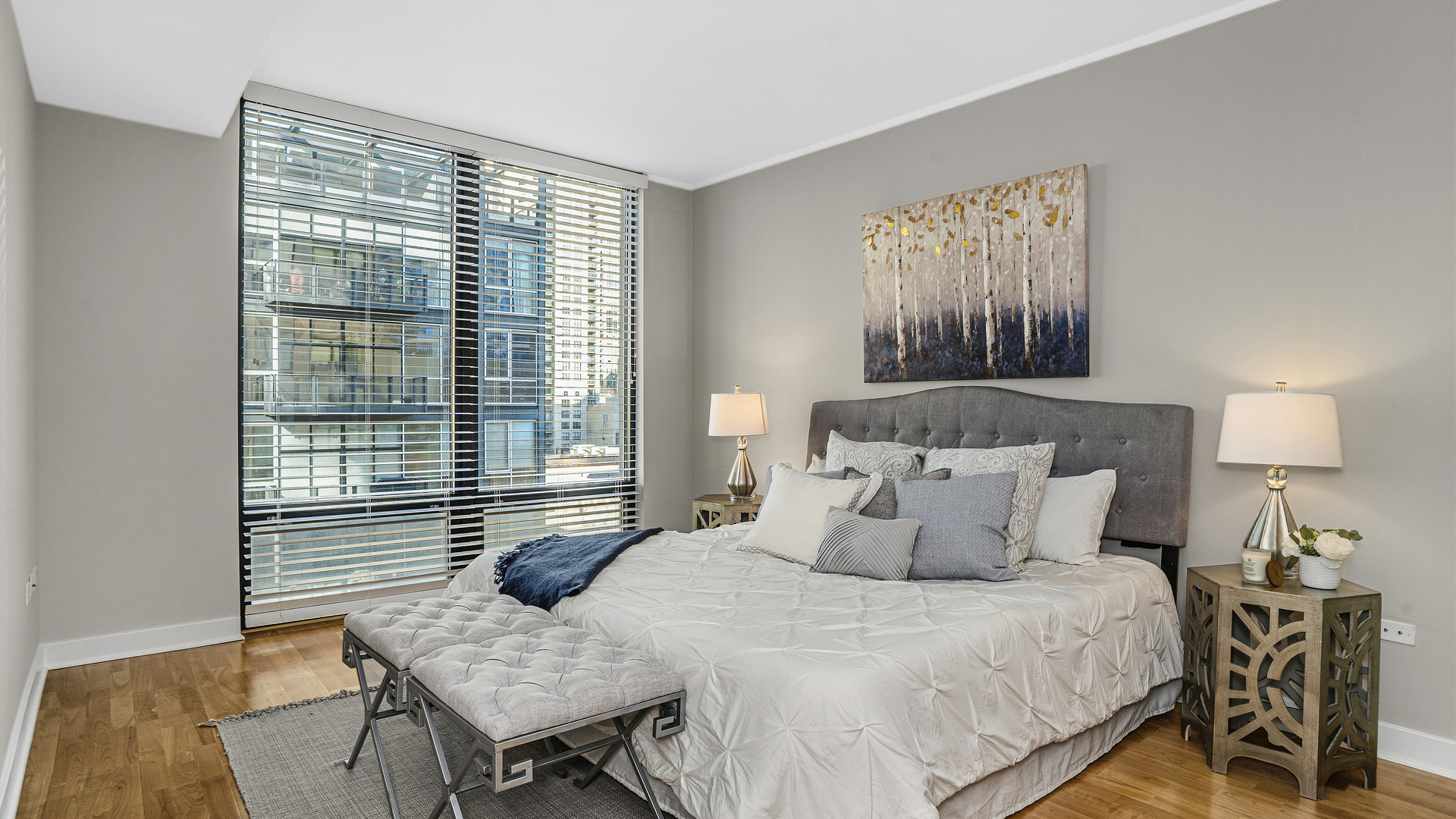 744 North Clark Street, Unit 505 Chicago, IL 60654 - Photo 12 of 18