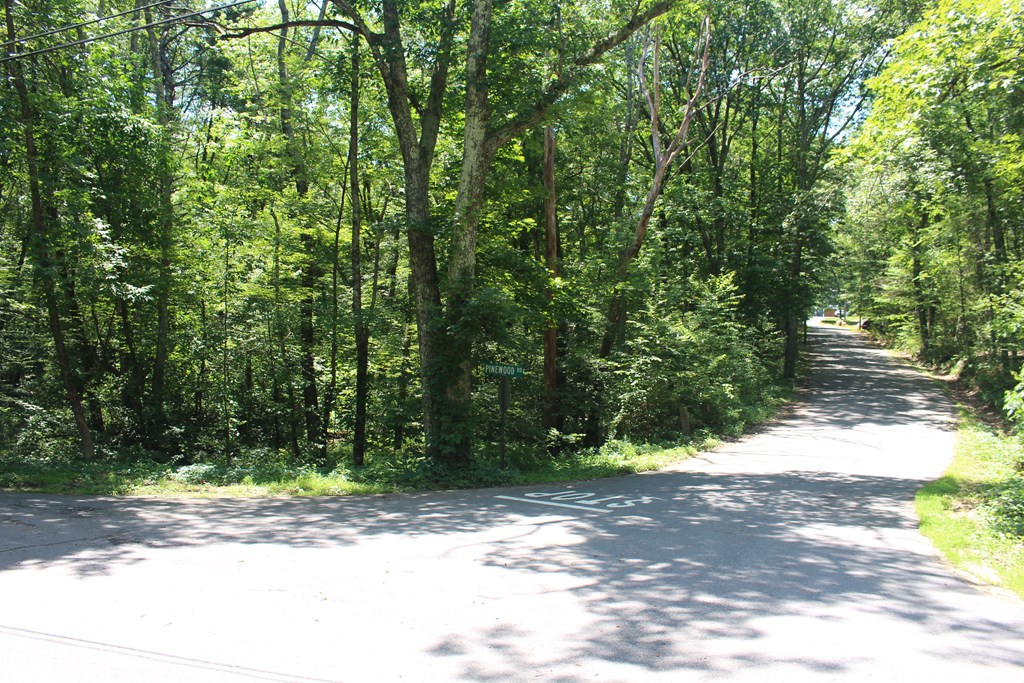 Lot 1 Laurel Road Bolton, MA 01740 - Photo 12 of 15 a view of a yard with plants and trees
