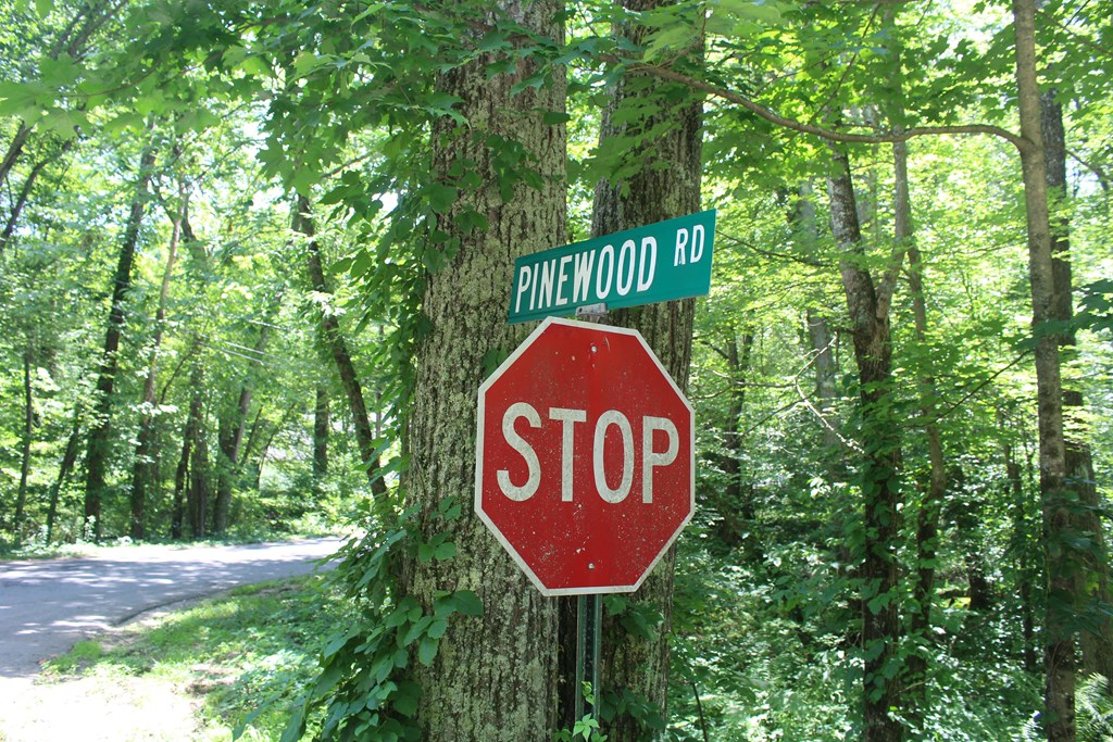 Lot 1 Laurel Road Bolton, MA 01740 - Photo 15 of 15 a blue sign that is sitting next to a road