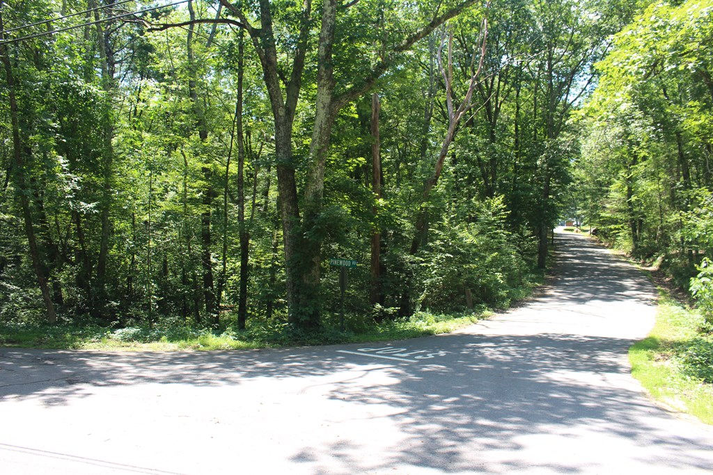 Lot 1 Laurel Road Bolton, MA 01740 - Photo 3 of 15 a view of a yard with plants and trees