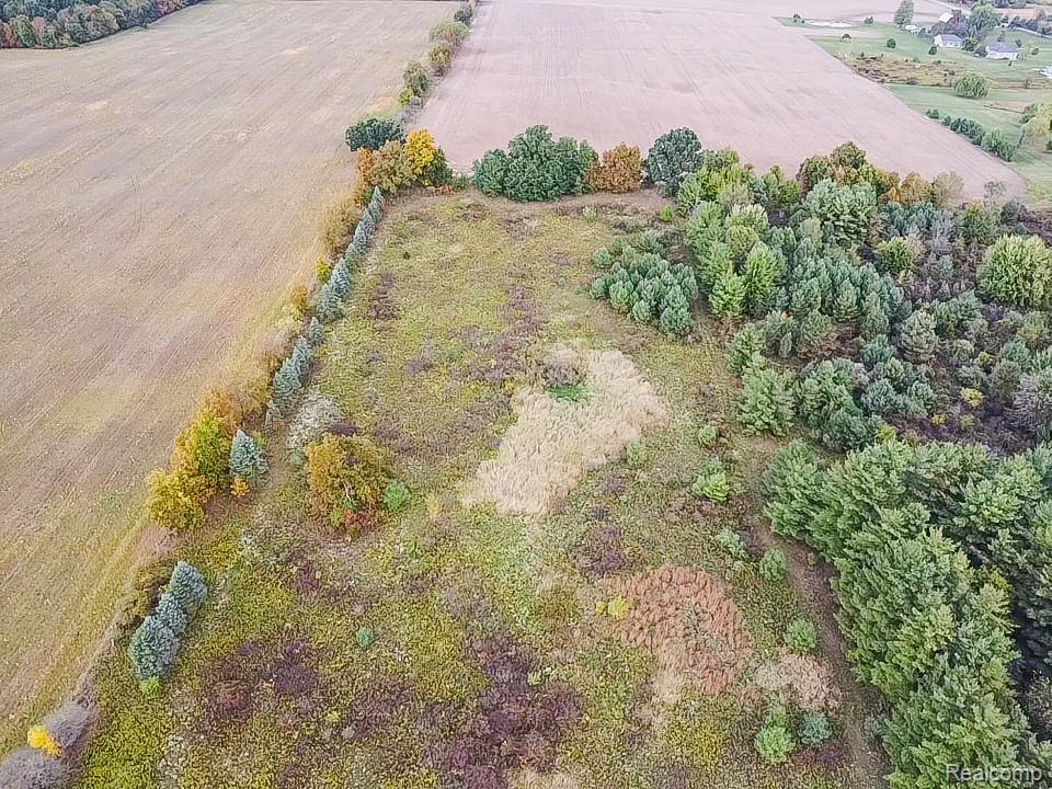 1028400013 Baldwin Road Gaines, MI 48436 - Photo 8 of 11