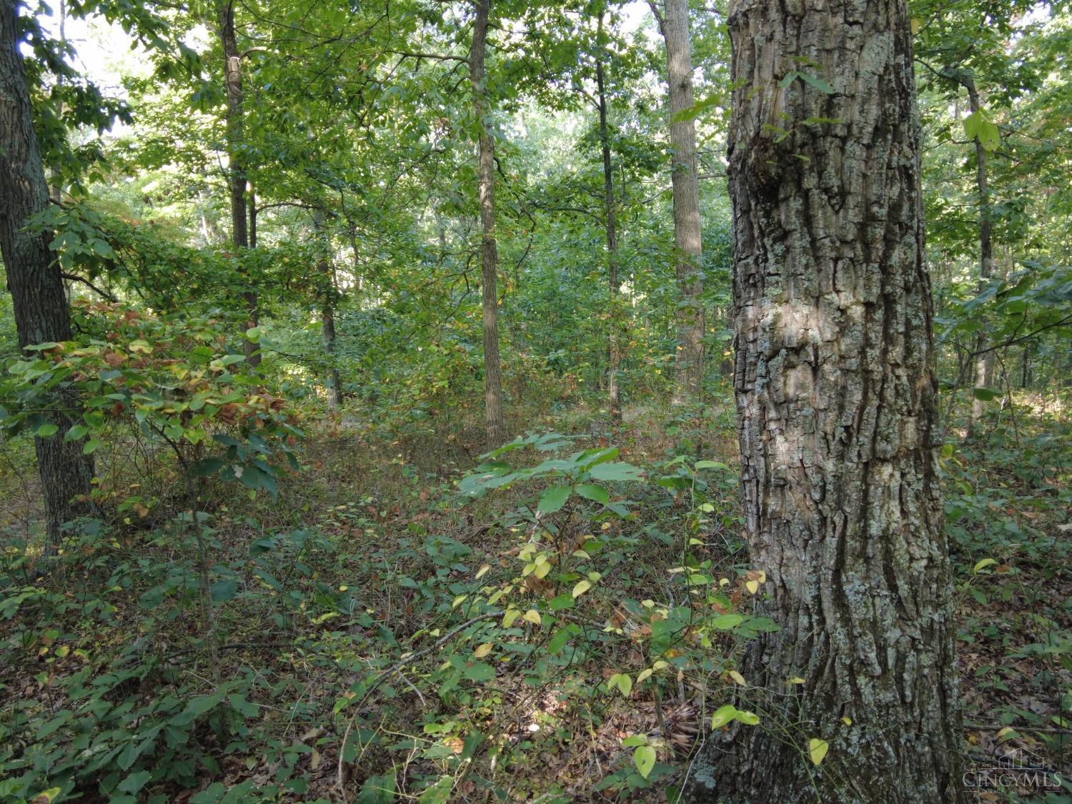 Ac Union Hill Road Peebles, OH 45660 - Photo 15 of 29