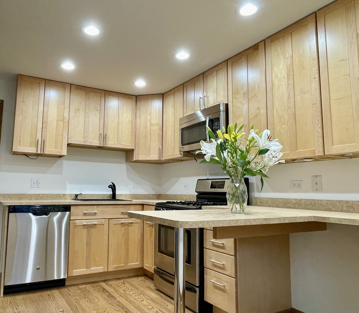 5145 Washington Street, Unit 2 Downers Grove, IL 60515 - Photo 2 of 16 a kitchen with stainless steel appliances granite countertop a sink a stove and cabinets