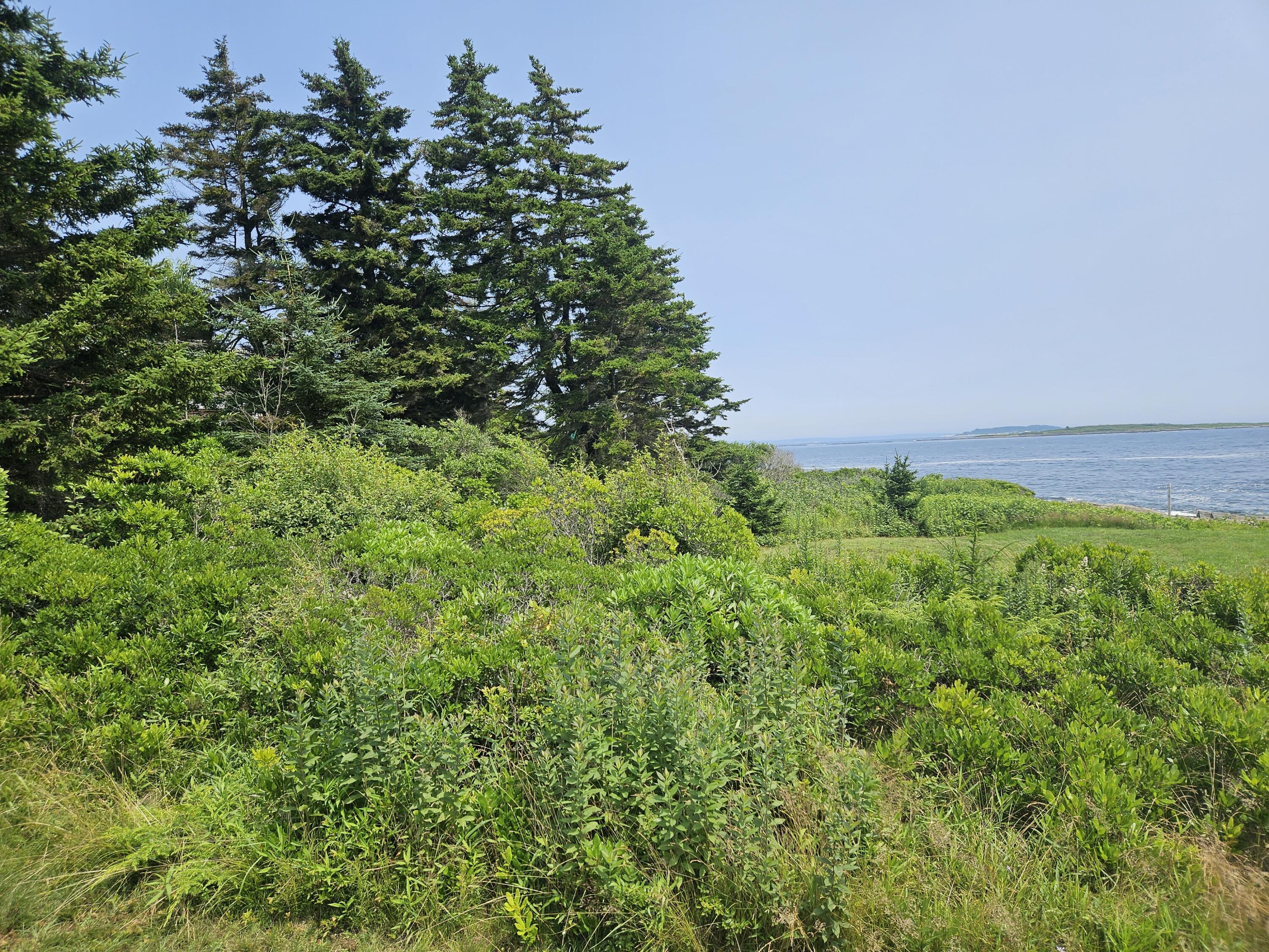 42 Cedar Beach Road Harpswell, ME 04003 - Photo 13 of 25 20230717_132908