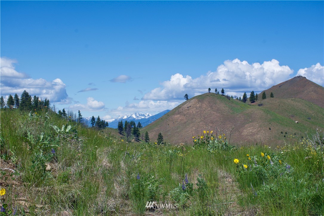 -xx Bonner Lake Road Twisp, WA 98856 - Photo 2 of 24 Gallery Image 2