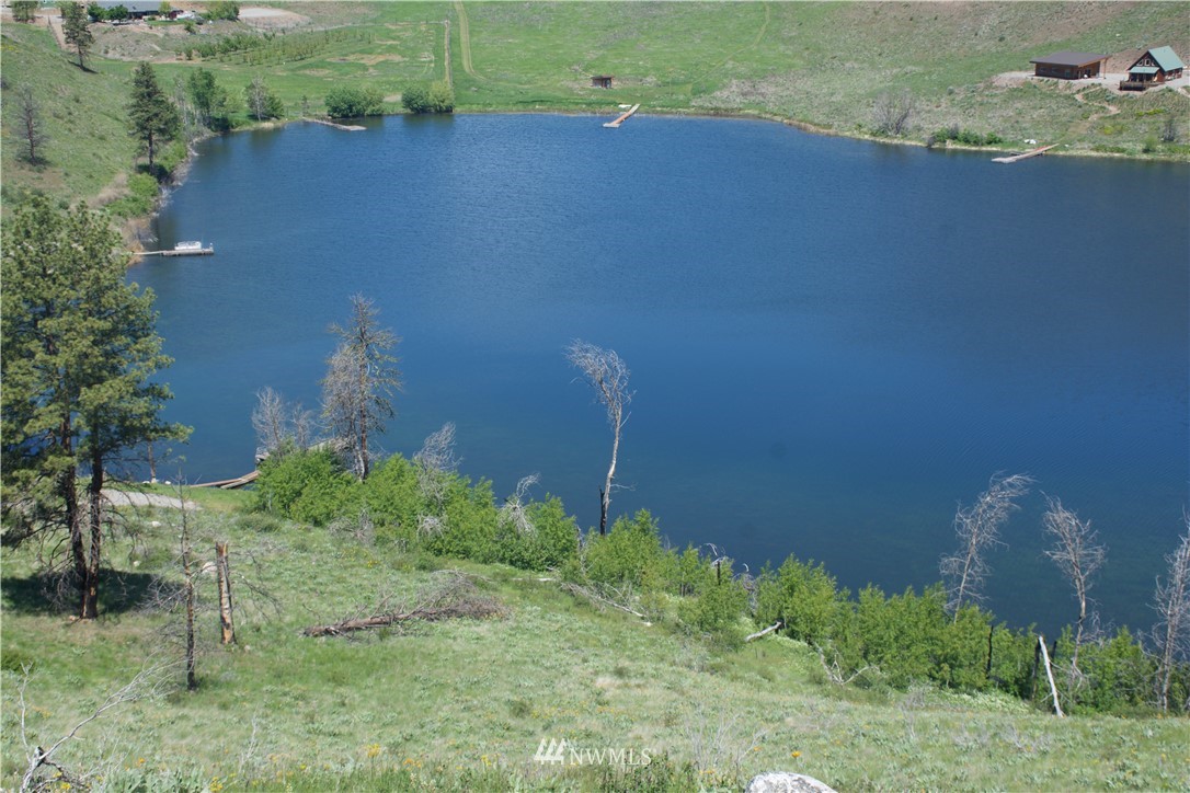 -xx Bonner Lake Road Twisp, WA 98856 - Photo 11 of 24 Gallery Image 11