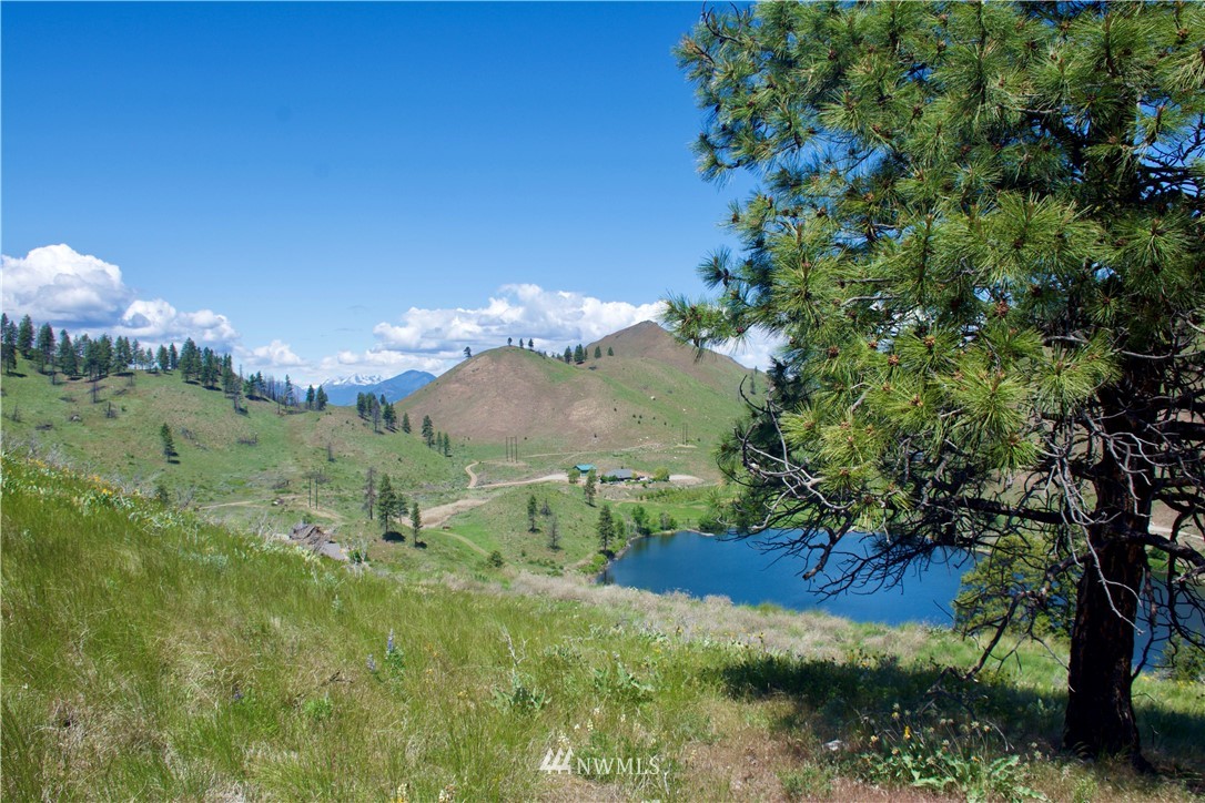 -xx Bonner Lake Road Twisp, WA 98856 - Photo 12 of 24 Gallery Image 12