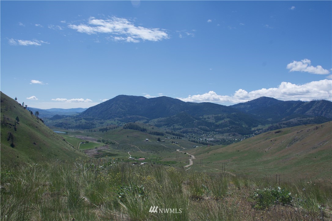 -xx Bonner Lake Road Twisp, WA 98856 - Photo 14 of 24 Gallery Image 14
