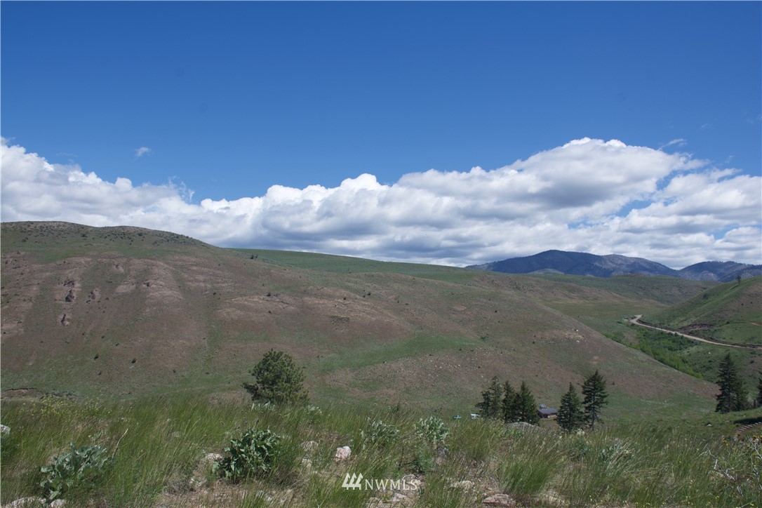 -xx Bonner Lake Road Twisp, WA 98856 - Photo 15 of 24 Gallery Image 15