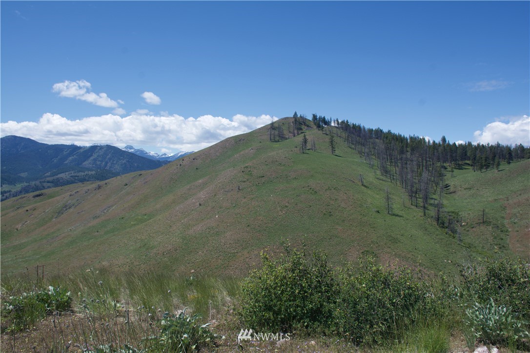 -xx Bonner Lake Road Twisp, WA 98856 - Photo 16 of 24 Gallery Image 16