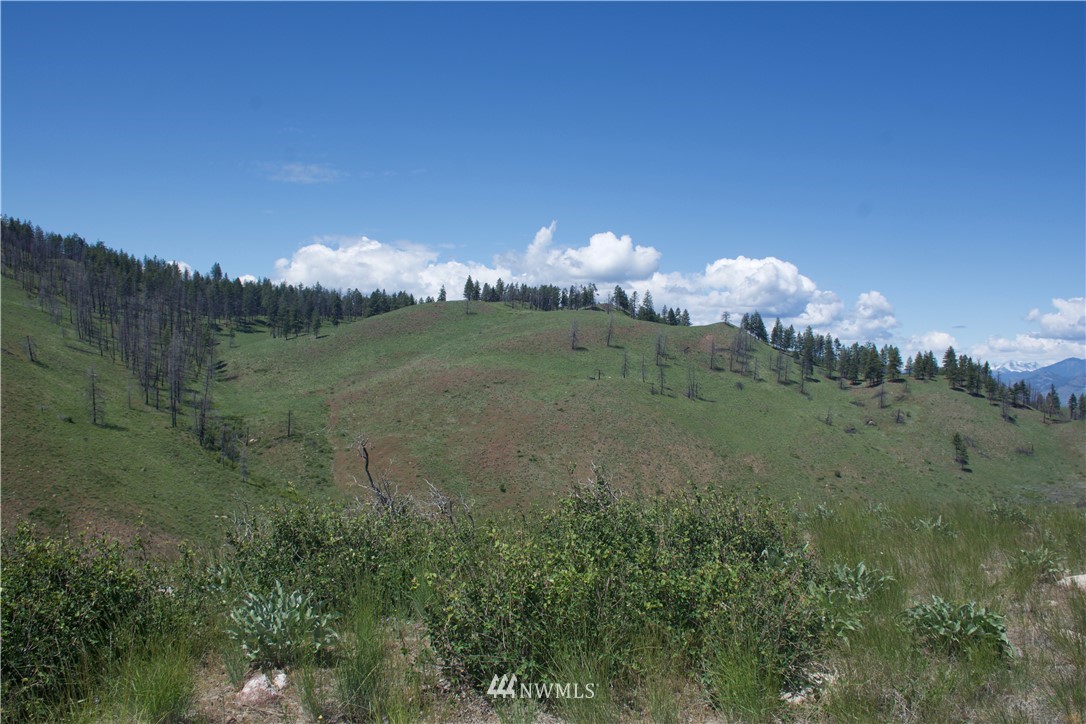 -xx Bonner Lake Road Twisp, WA 98856 - Photo 17 of 24 Gallery Image 17