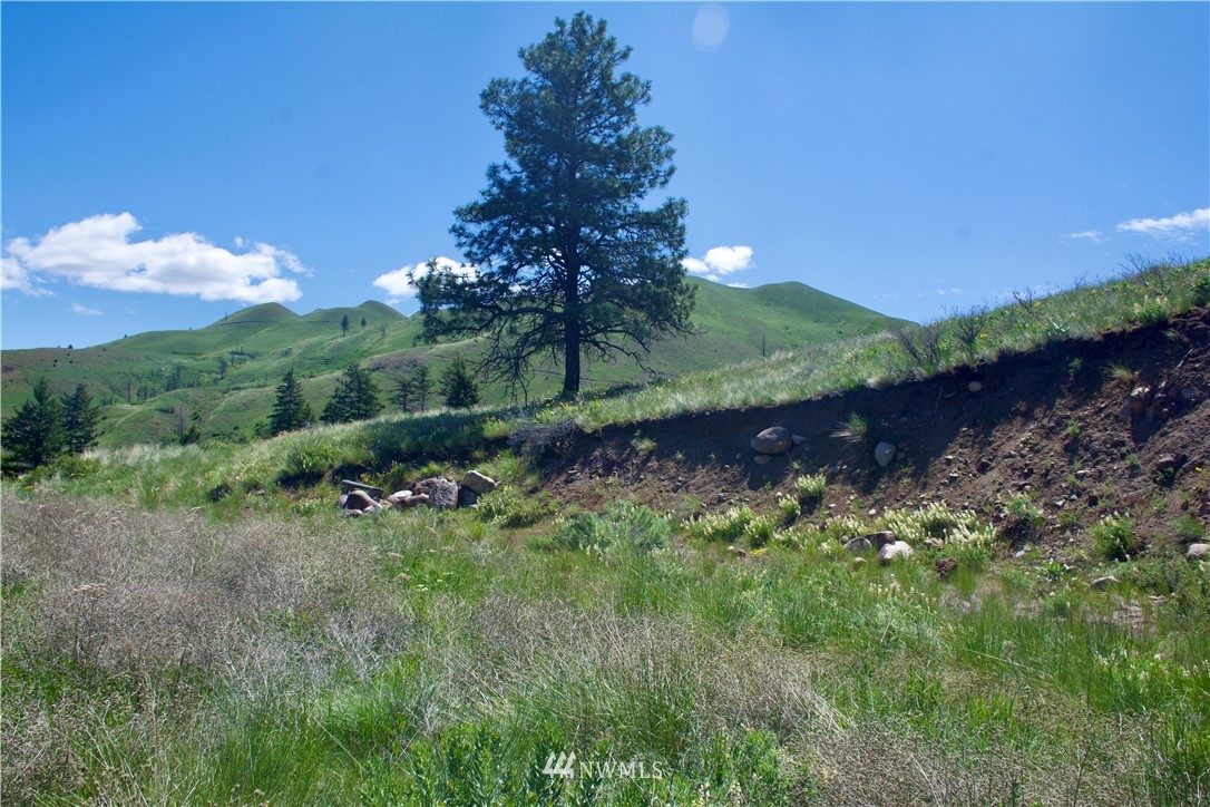 -xx Bonner Lake Road Twisp, WA 98856 - Photo 3 of 24 Gallery Image 3
