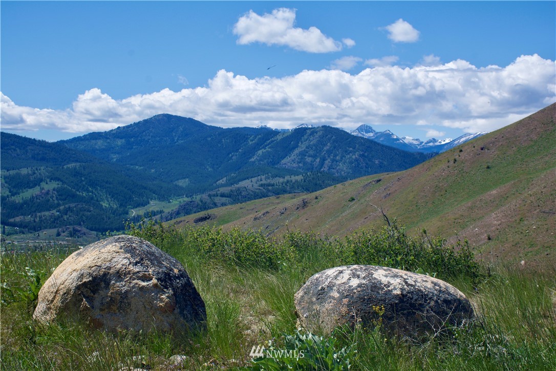 -xx Bonner Lake Road Twisp, WA 98856 - Photo 22 of 24 Gallery Image 22