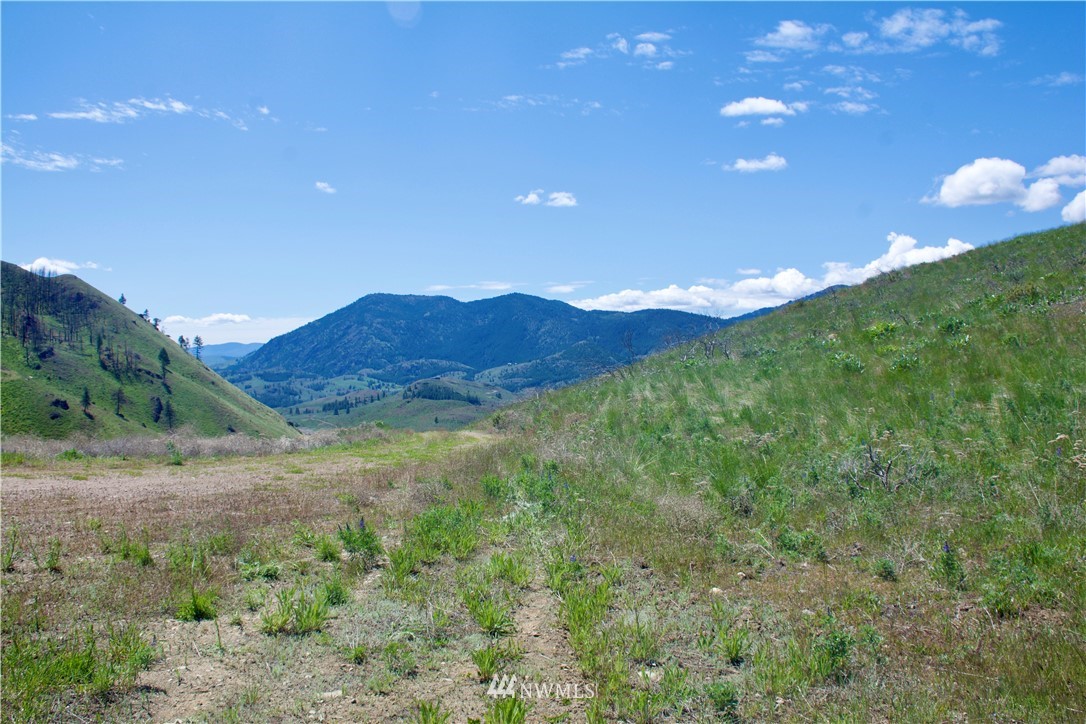 -xx Bonner Lake Road Twisp, WA 98856 - Photo 4 of 24 Gallery Image 4
