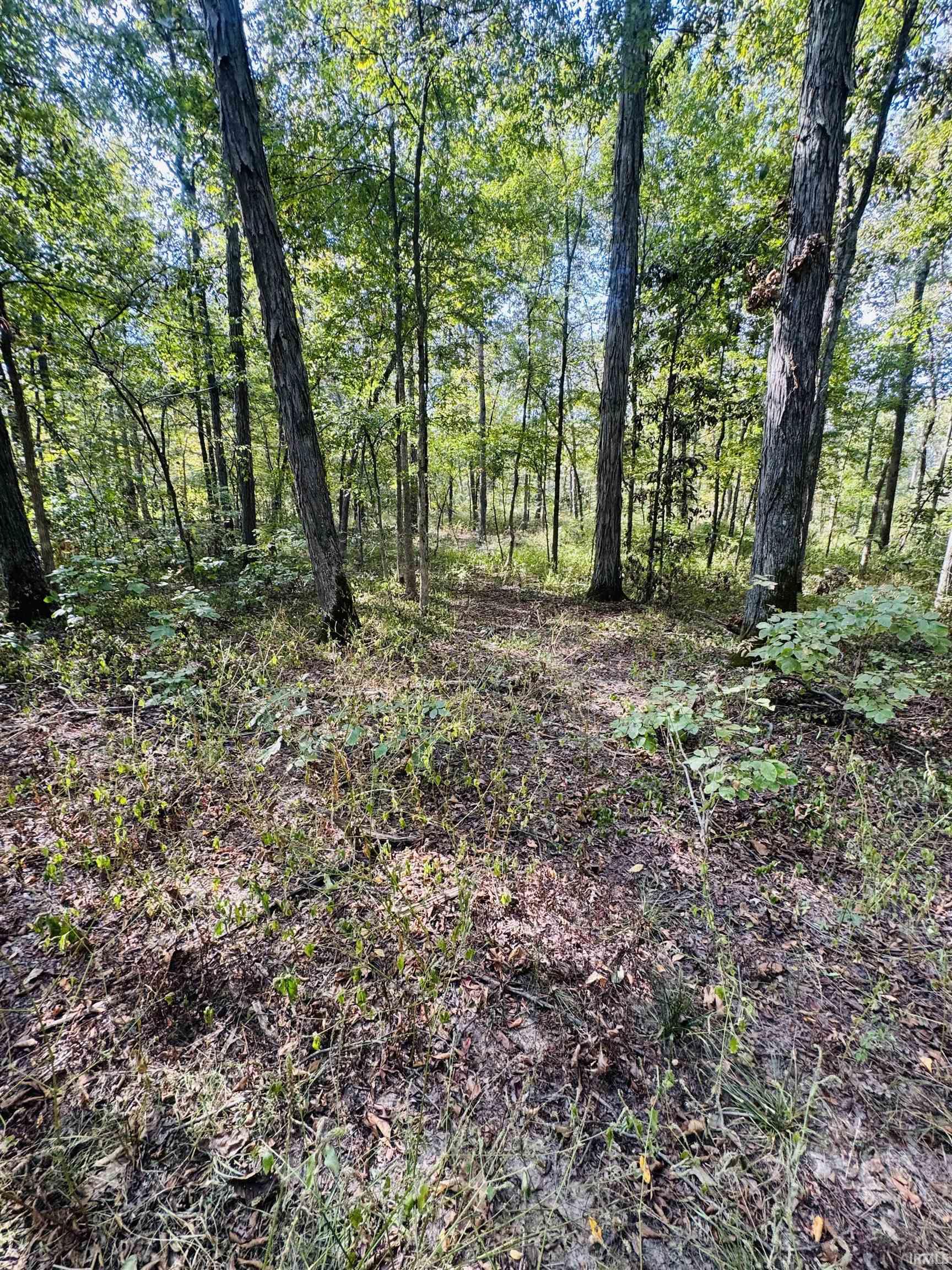 0 Decker Road Boonville, IN 47601 - Photo 10 of 20 Gallery Image 10