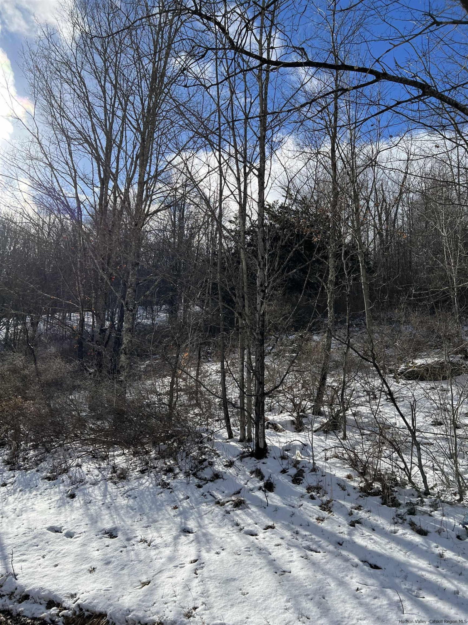 8-11 Henry Williams Road Roxbury, NY 12474 - Photo 22 of 23 Photo 4