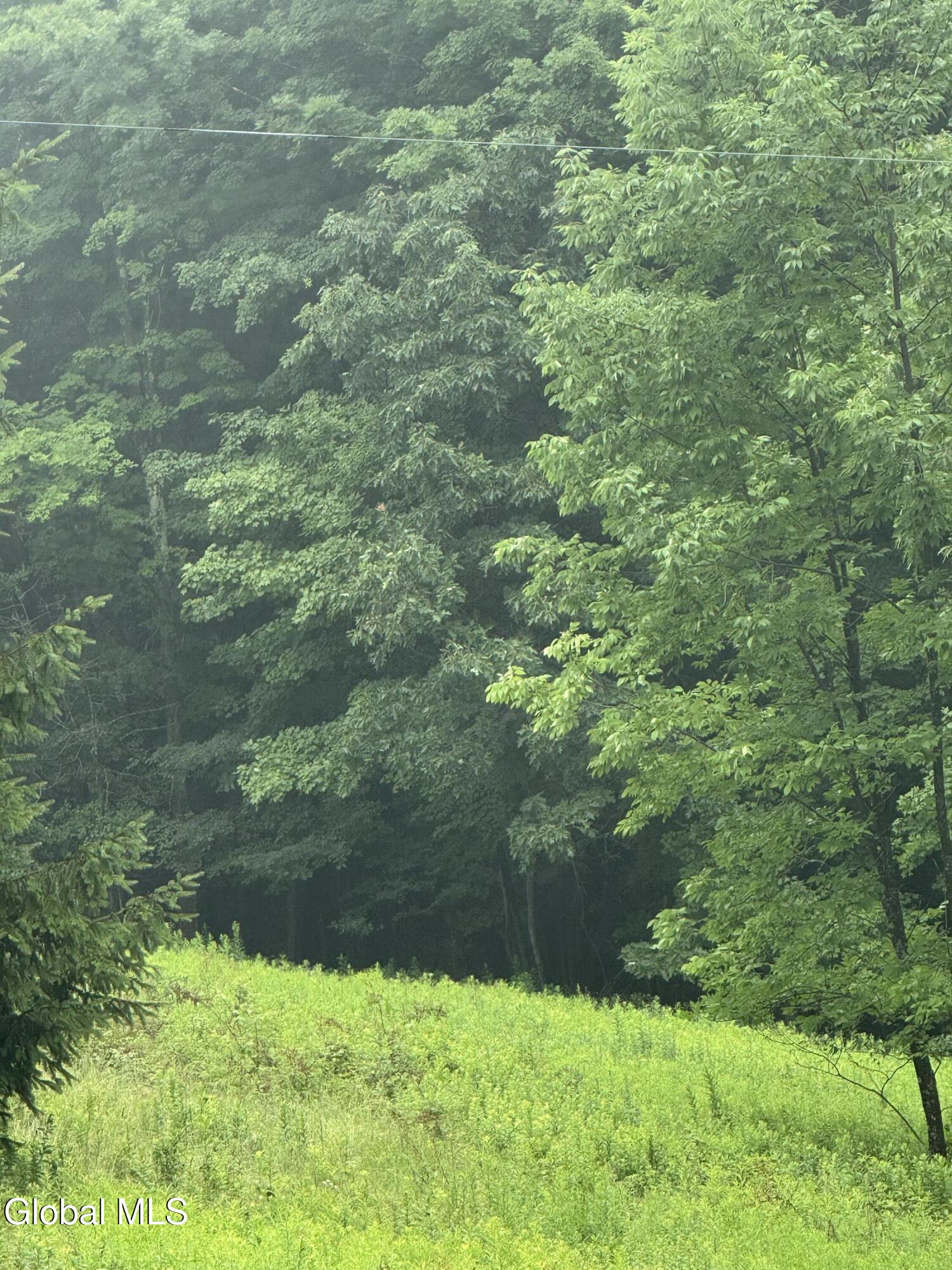 0 Cook Road Gilboa, NY 12076 - Photo 15 of 37 IMG_1470