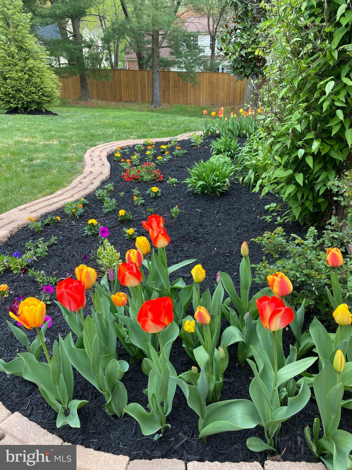 13900 Turnmore Road Silver Spring, MD 20906 - Photo 4 of 65 SCENIC OUTDOOR LIVING PARADISE!