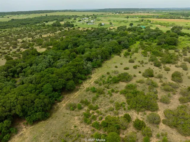 a view of a field with an ocean view