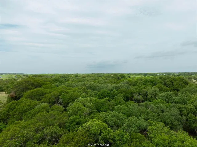 a view of a field of grass and trees