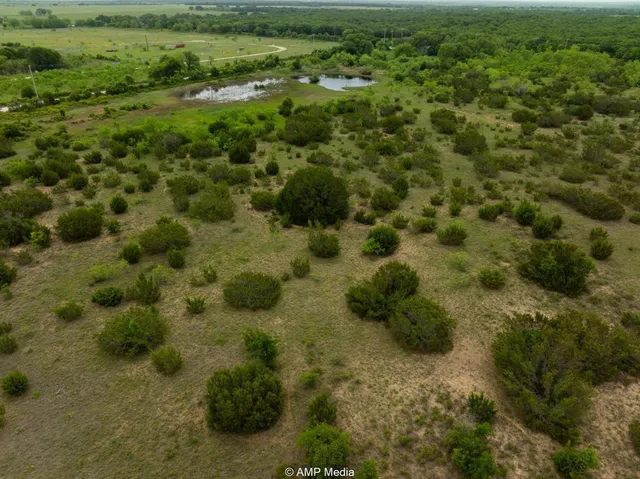a view of a big yard with lots of green space