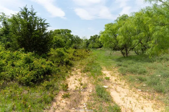 a yard with trees in the background