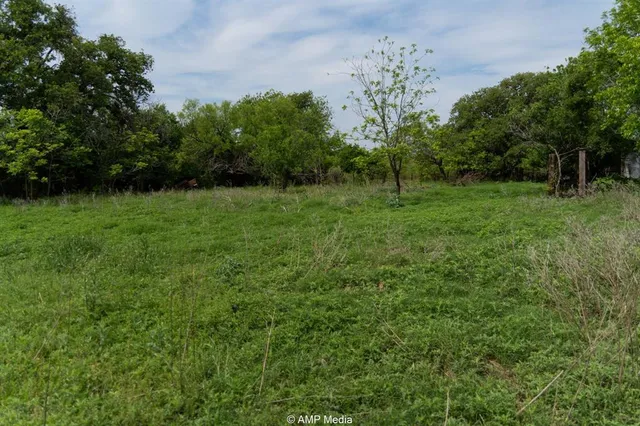 a view of a lush green space